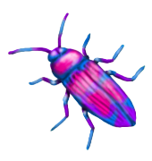 Semi Custom Beetle